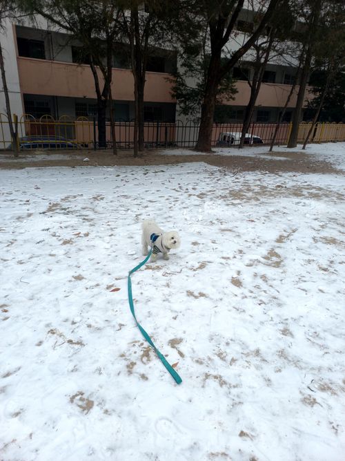 20250130_143031.heic_resize_resize