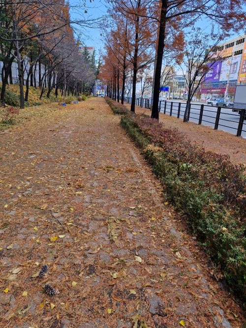 1732693192684-1.jpg_resize