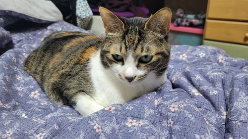 20240124_101606.jpg_resize