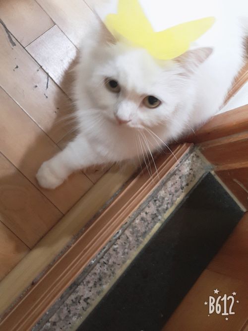 B612_20190519_105636_313.jpg_resize