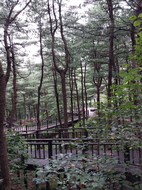 20241001_110228.jpg_resize