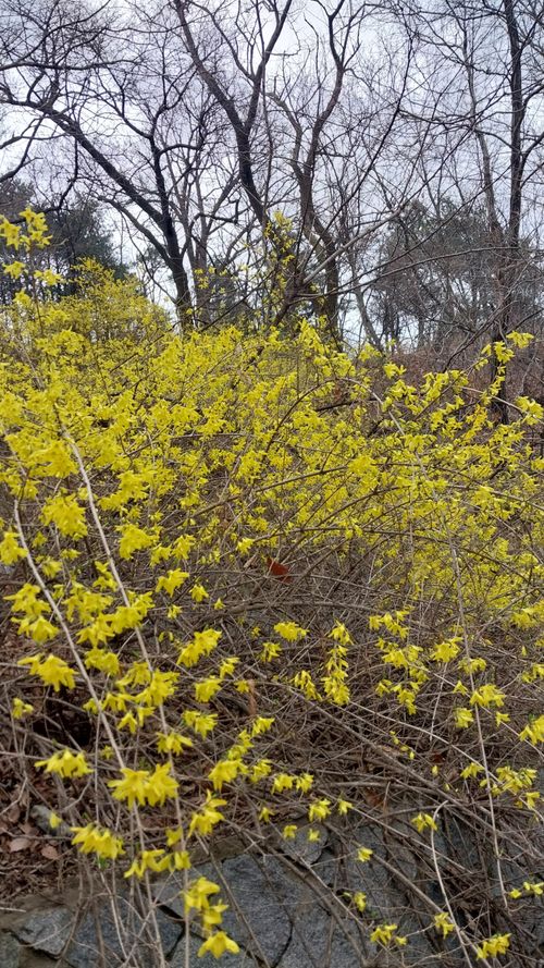 20250327_120856.jpg_resize