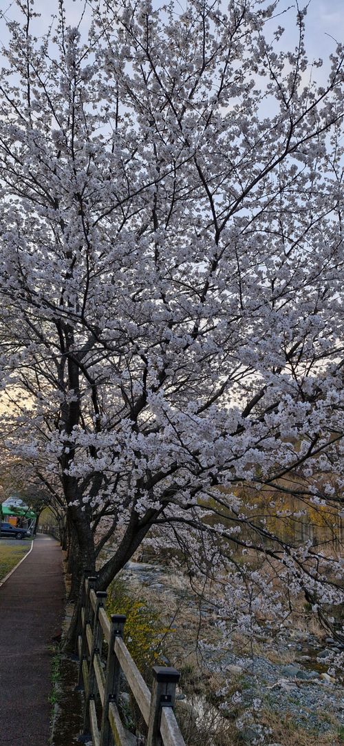 20250401_062000.jpg_resize