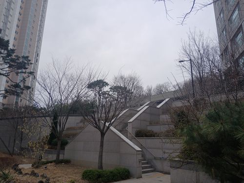 20250402_131349.jpg_resize
