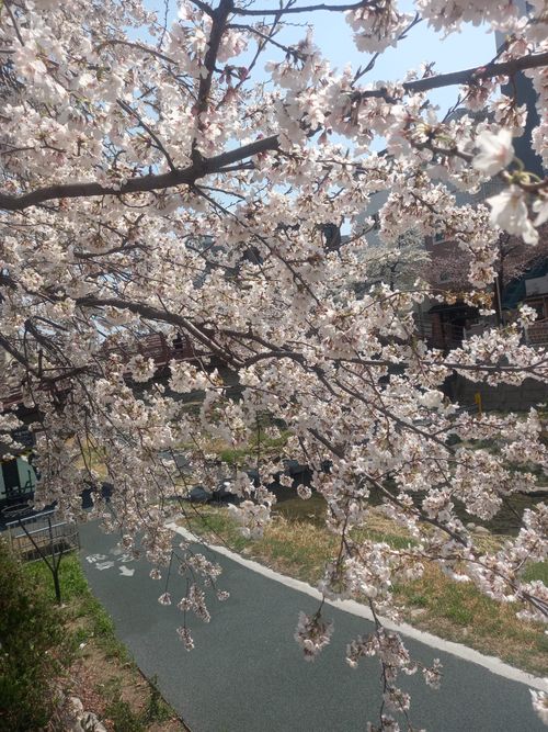 20250408_125051.jpg_resize