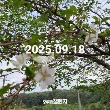 1758148601511.jpg_resize