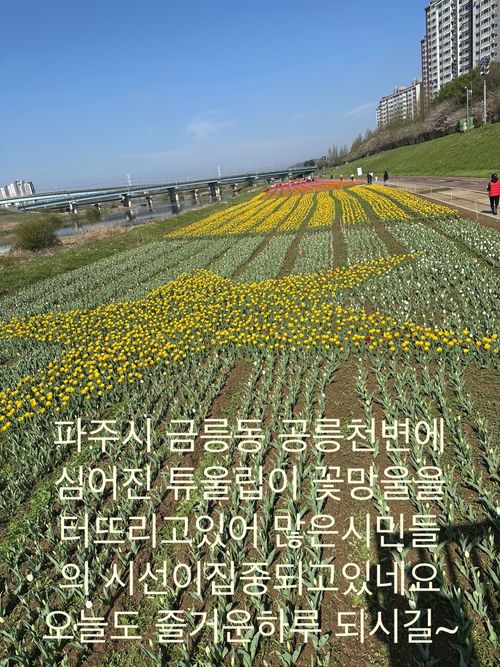 IMG_1719.jpeg_resize
