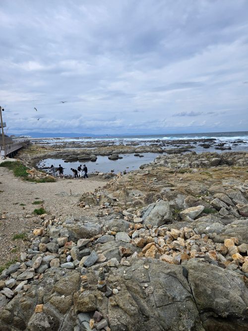 20250922_141945.jpg_resize