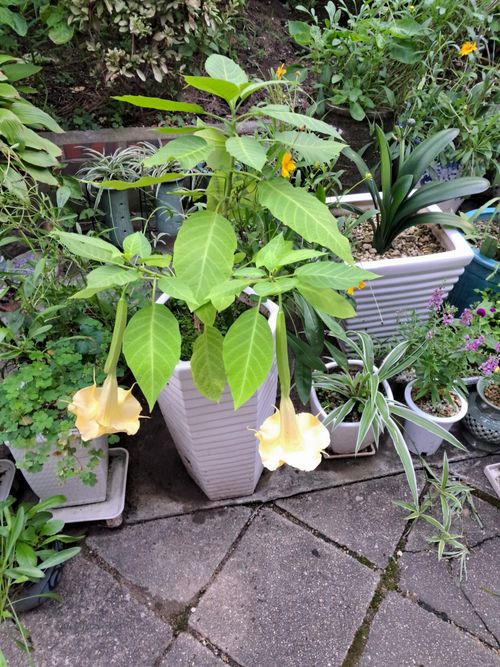 20230903_174237.jpg_resize