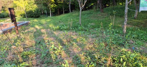 20251010_171155.jpg_resize