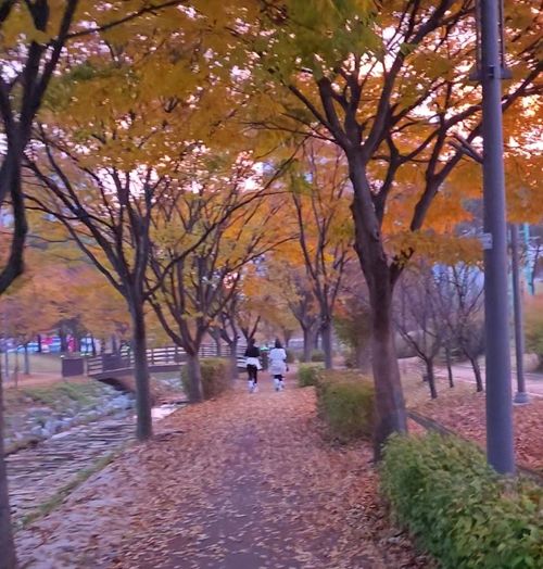 1762576542311.jpg_resize