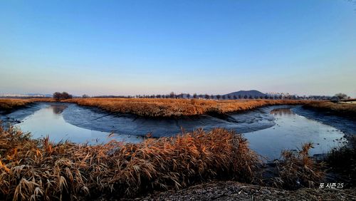 20260104_082645.heic_resize_resize