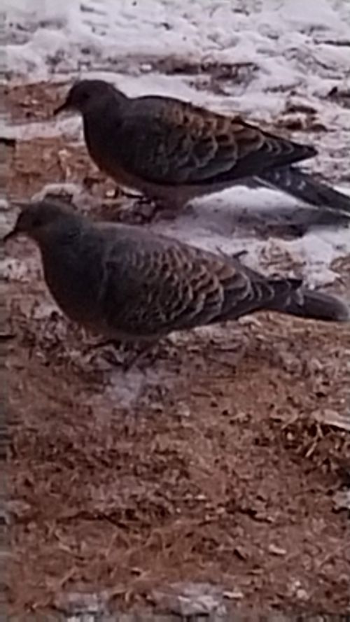 20260210_093721.jpg_resize