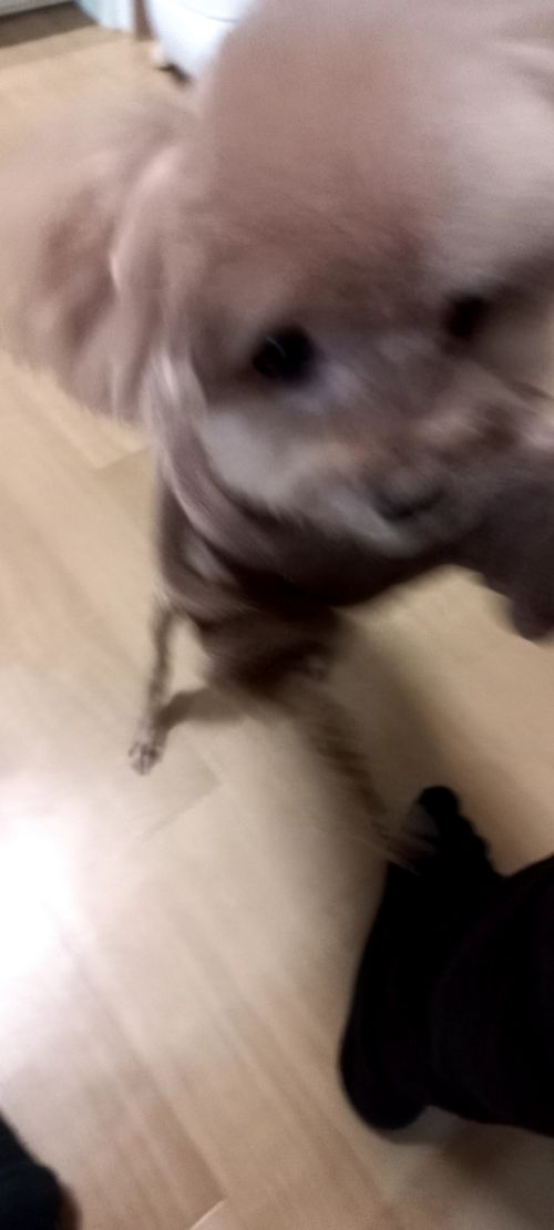 20260212_152648.heic_resize_resize