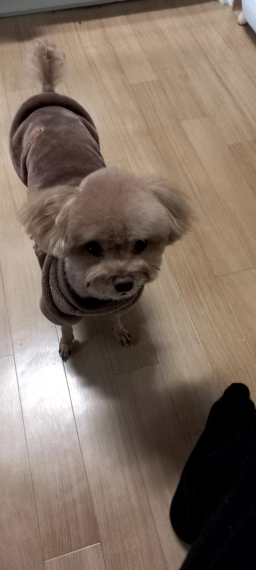 20260212_152652.heic_resize_resize