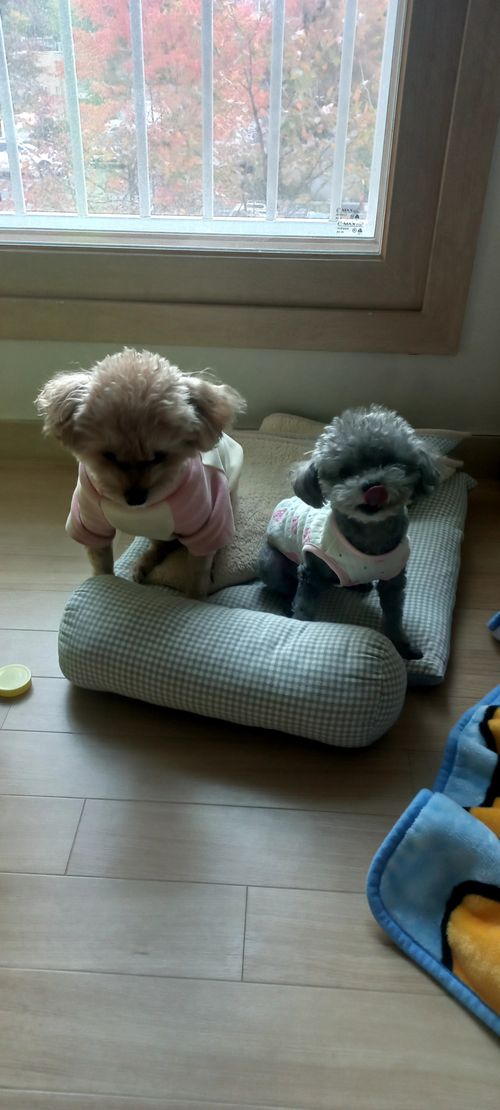 20251029_090008.heic_resize_resize