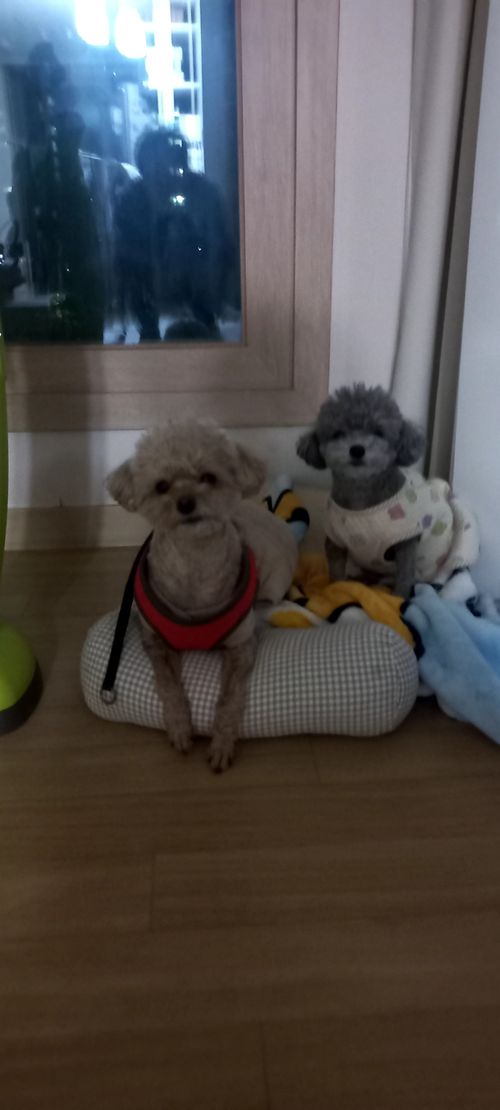 20251023_190304.heic_resize_resize