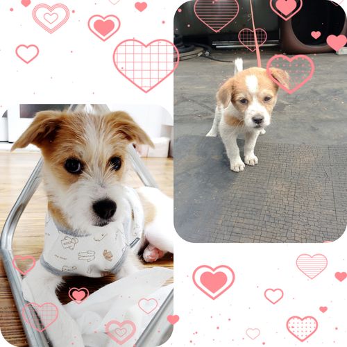 CollageMaker_20211119_163810979.jpg_resize