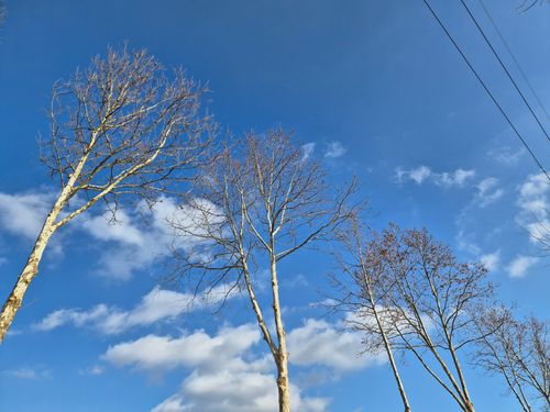 20251214_150438.jpg_resize