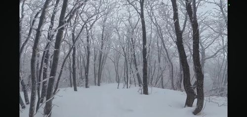 Screenshot_20260315_194051_YouTube.jpg_resize