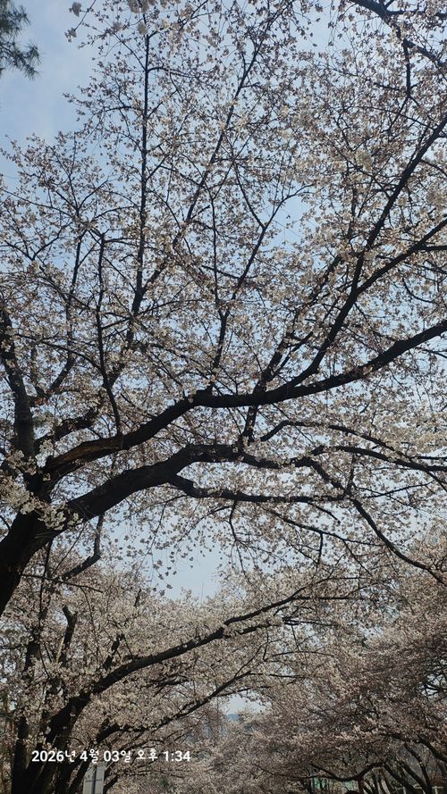 20260403_133416.jpg_resize