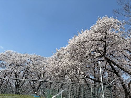 IMG_8231.jpeg_resize
