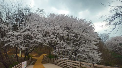 20260405_085825.jpg_resize