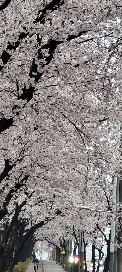 20260409_181255.jpg_resize