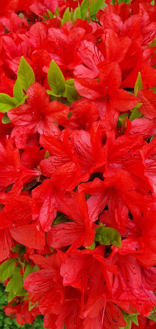 20260413_100316.jpg_resize