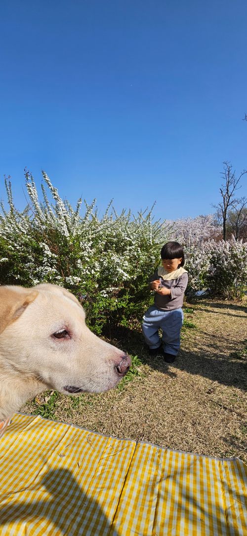 20260405_155543.jpg_resize