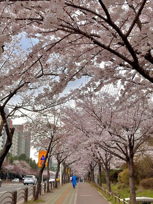 다운로드-7.jpeg_resize
