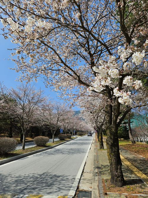 20260411_144019.jpg_resize