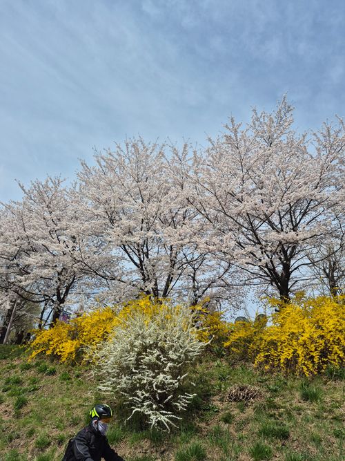 20260405_122814.jpg_resize