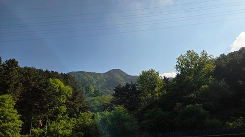 20260429_082219.jpg_resize