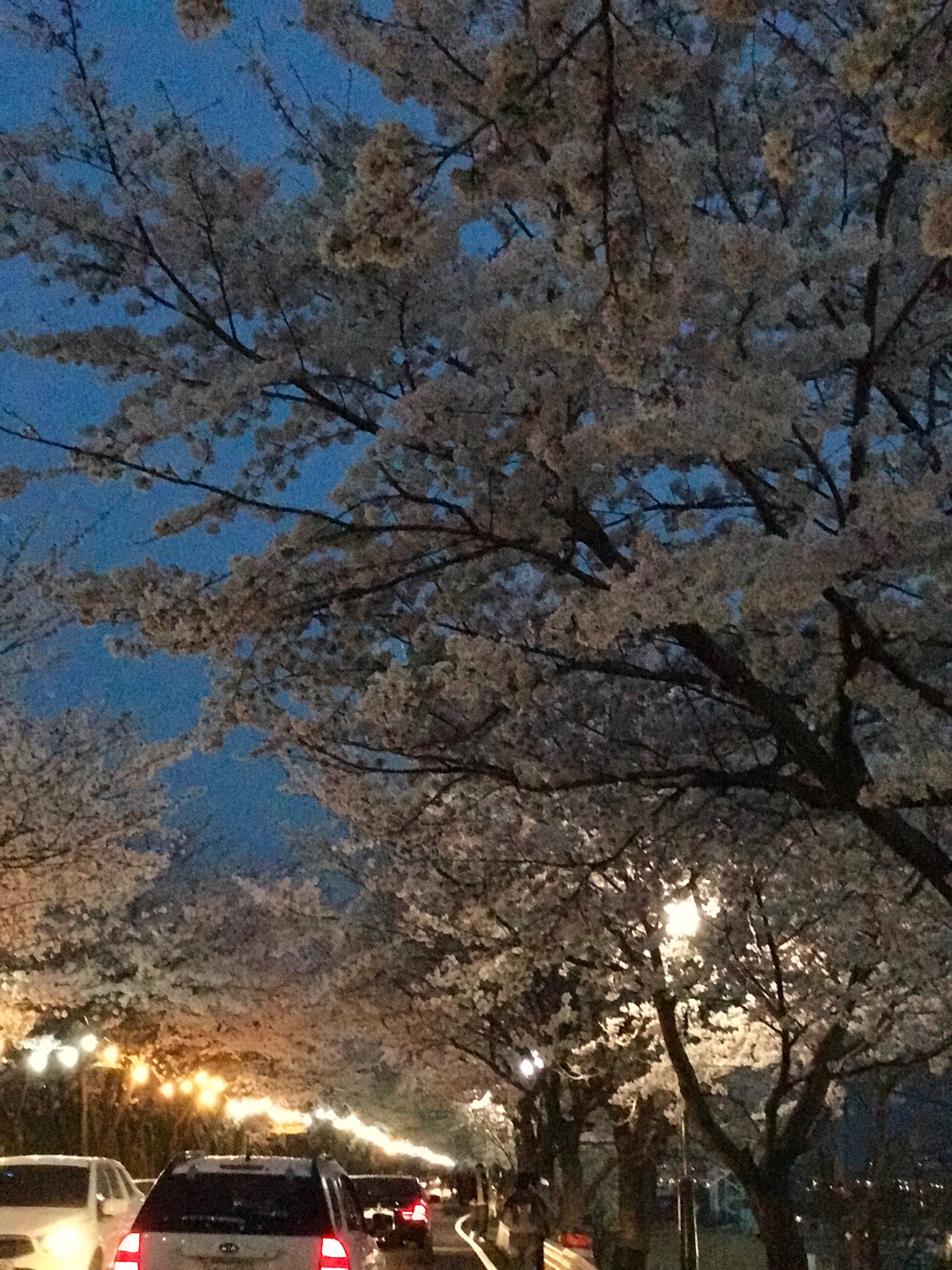 IMG_0358.jpeg