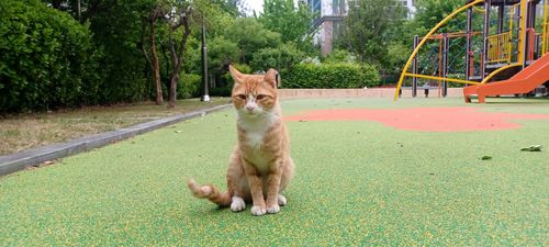 20260502_182925.heic_resize_resize
