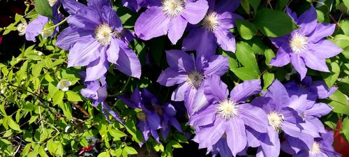 20260510_124234.heic_resize_resize