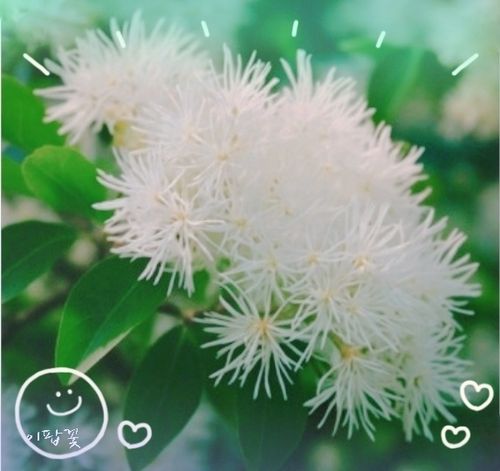26-05-02-04-21-57-087_deco.jpg_resize
