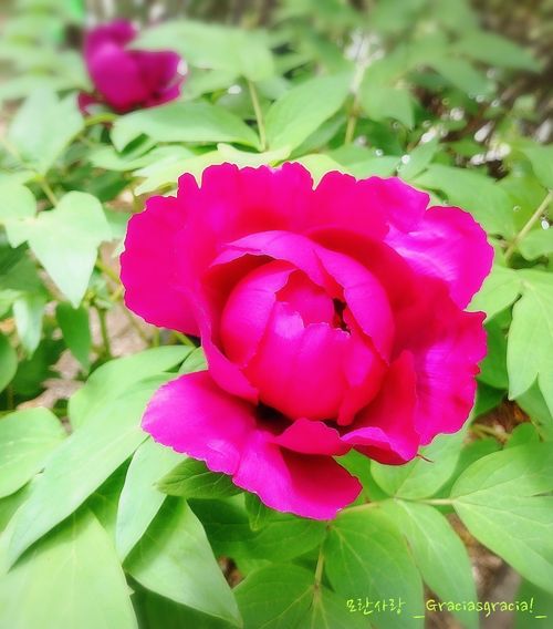26-04-26-04-18-32-297_deco.jpg_resize