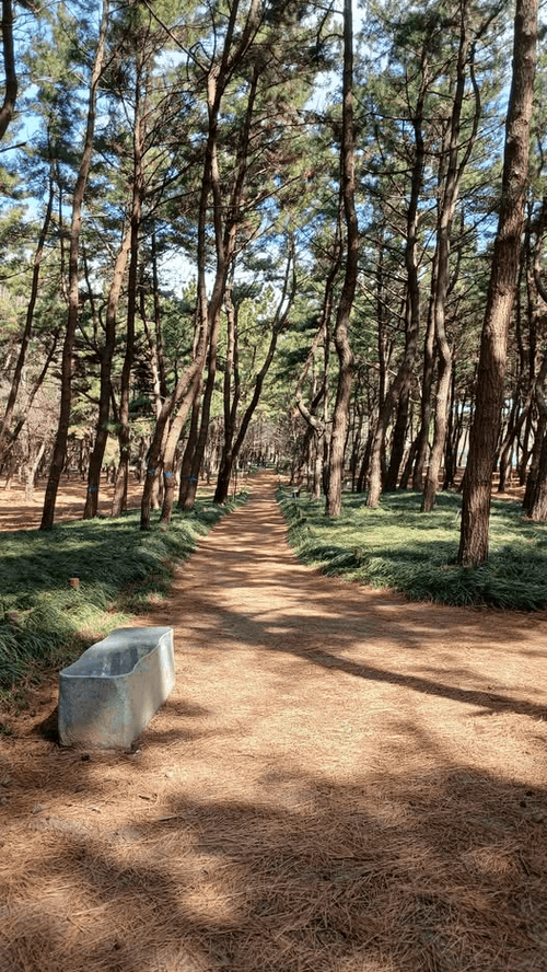 1775056077723.png_resize