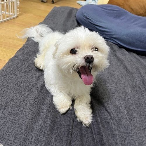 프로필.jpeg_resize