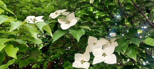 20260513_153111.heic_resize_resize