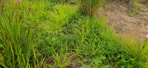 20260714_131440.jpg_resize