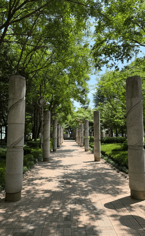 IMG_2676.png_resize