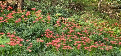 20260922_082402.jpg_resize